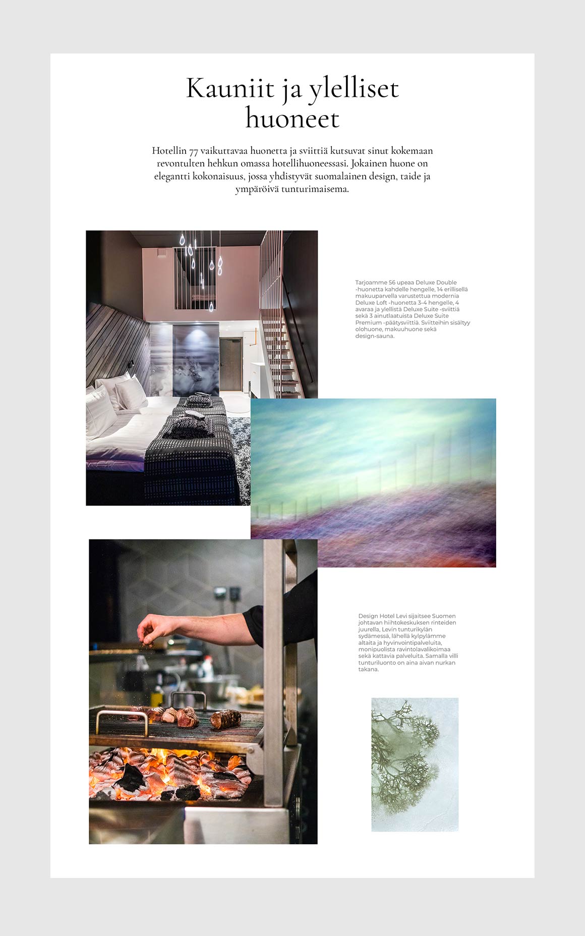 Design Hotel Levi www-sivut